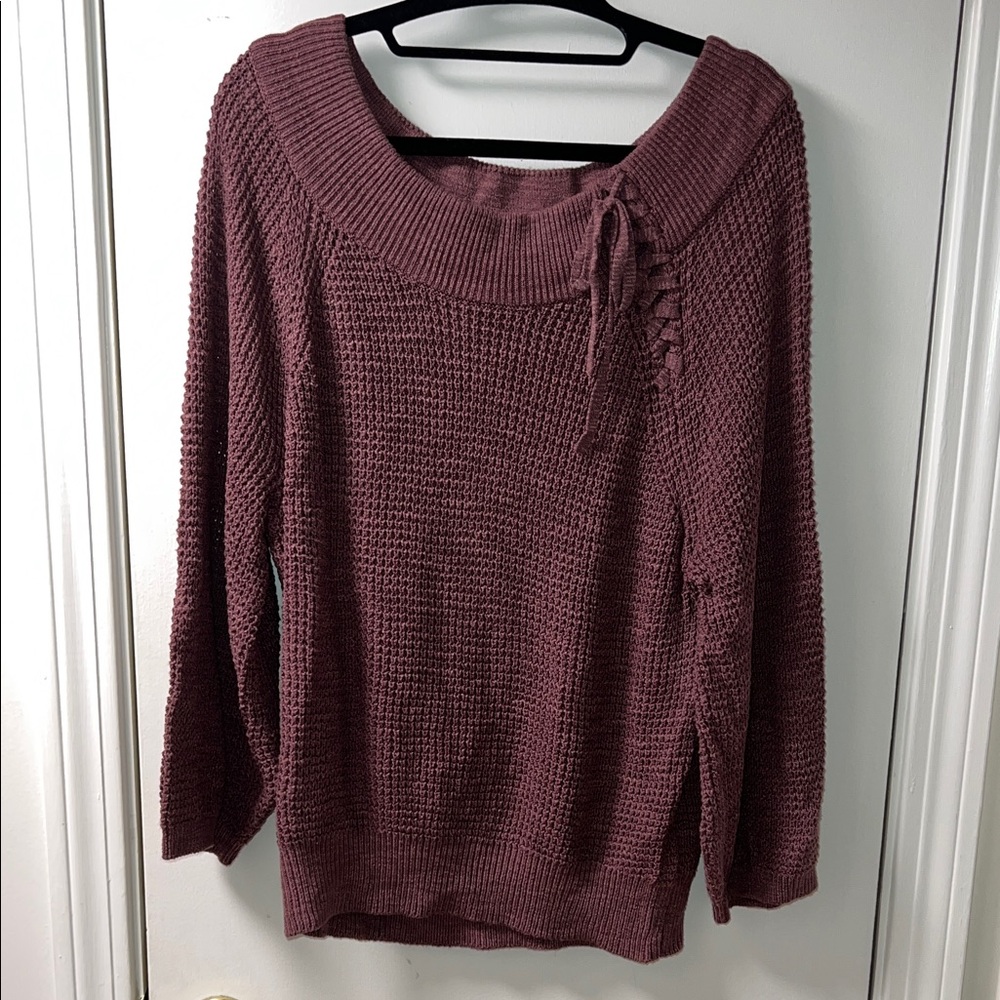 Express Mauve Knit Sweater